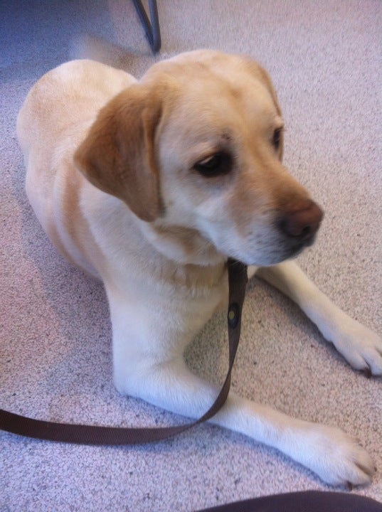 Rancho Park Veterinary Clinic